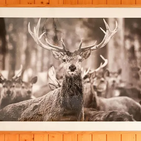 Colline 8 By Interhome *