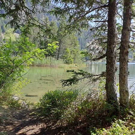 Colline 8 By Interhome * Champex-Lac
